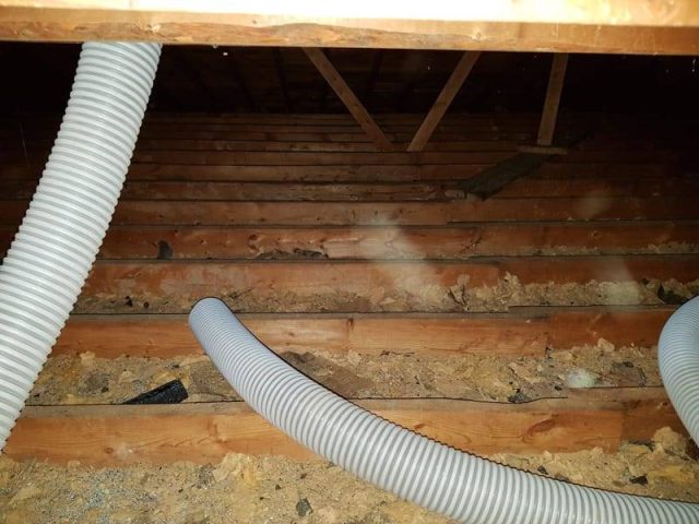 Attic Insulation Removal (12)