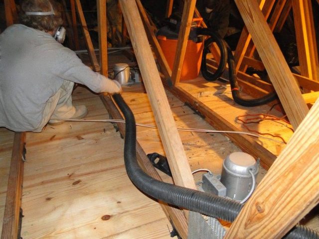 Attic sanitation and cleaning (13)